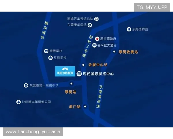 新澳门娱乐官网多样化游戏类型,满足不同玩家的多元需求